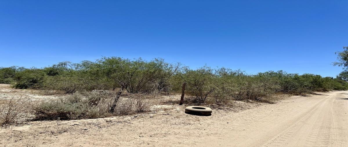 Foto de terreno habitacional en venta en  , chametla, la paz, baja california sur, 0 No. 05