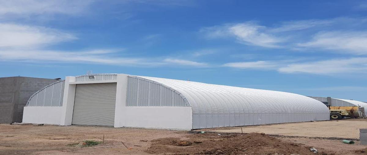 Foto de bodega en renta en  , chametla, la paz, baja california sur, 30303031 No. 02