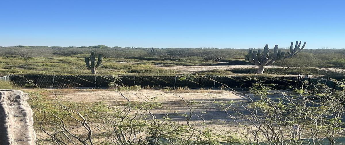Foto de terreno habitacional en , chametla, la paz, baja california sur, 0 foto 04 Foto de terreno habitacional en venta en , chametla, la paz, baja california sur, 0 No. 04