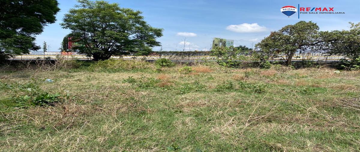 Foto de terreno habitacional en venta en chamilpa , chamilpa, cuernavaca, morelos, 25082011 No. 04