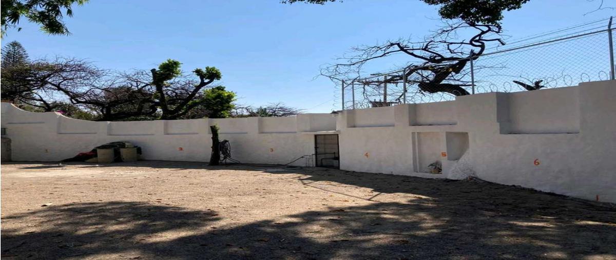 Foto de departamento en renta en  , chamilpa, cuernavaca, morelos, 0 No. 05