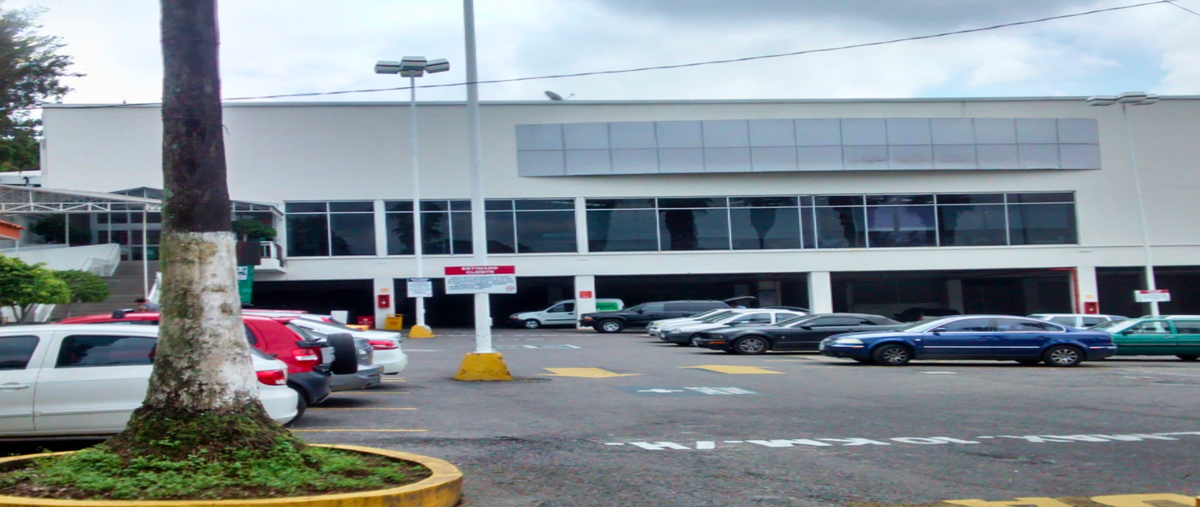 Foto de local en , chamilpa, cuernavaca, morelos, 29097159 foto 02 Foto de local en renta en , chamilpa, cuernavaca, morelos, 29097159 No. 02