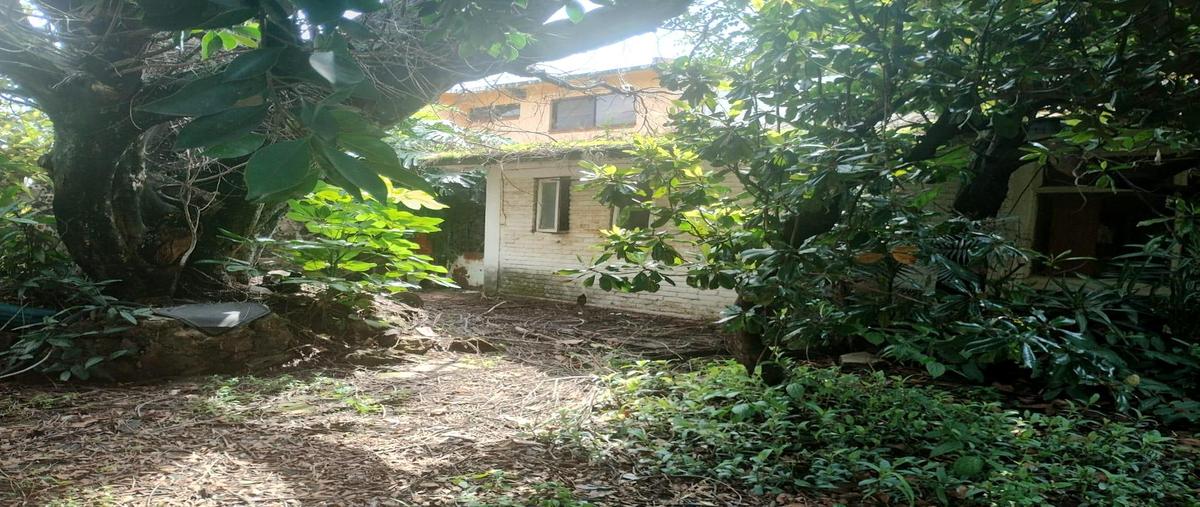 Foto de terreno habitacional en venta en  , chamilpa, cuernavaca, morelos, 0 No. 05