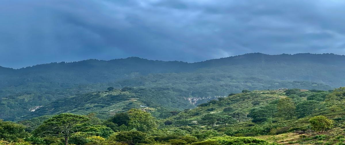 Foto de casa en venta en chamizal 81, la mesa (el fresnito), zapotlán el grande, jalisco, 0 No. 05