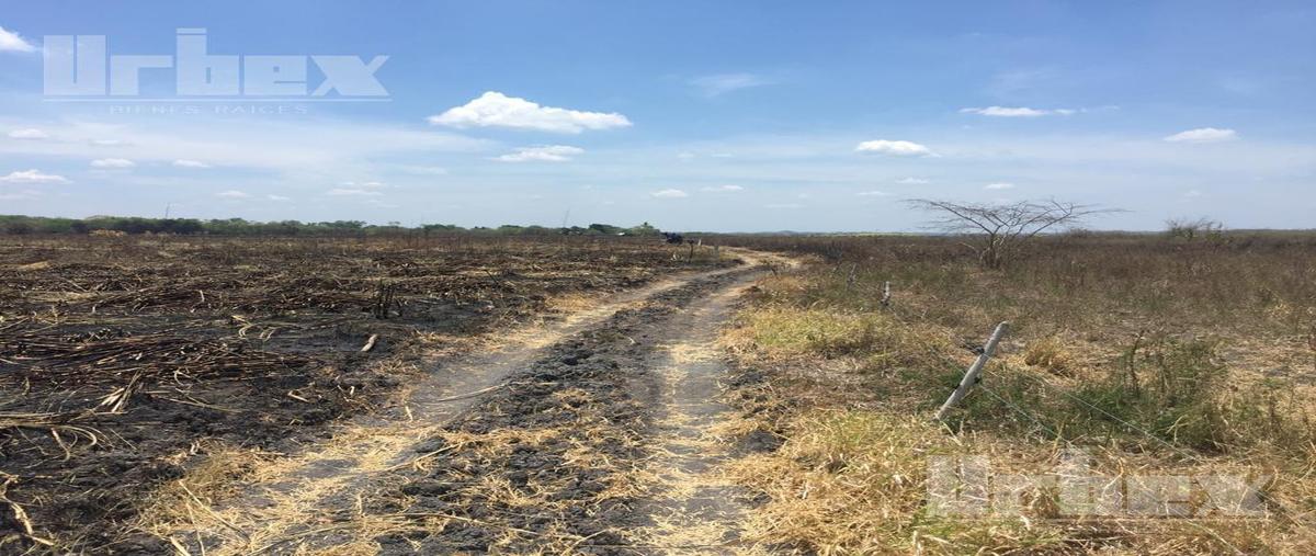 Foto de terreno habitacional en venta en  , champotón centro, champotón, campeche, 0 No. 05