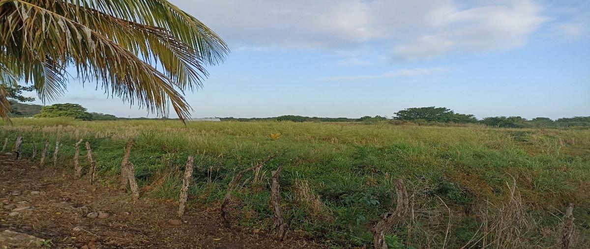 Foto de rancho en champoton , dzacabuchen, champotón, campeche, 27837363 foto 01 Foto de rancho en venta en champoton , dzacabuchen, champotón, campeche, 27837363 No. 01