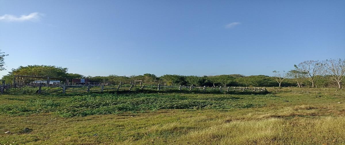 Foto de rancho en champoton , dzacabuchen, champotón, campeche, 27837363 foto 03 Foto de rancho en venta en champoton , dzacabuchen, champotón, campeche, 27837363 No. 03