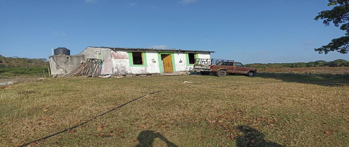 Foto de rancho en champoton , dzacabuchen, champotón, campeche, 27837363 foto 05 Foto de rancho en venta en champoton , dzacabuchen, champotón, campeche, 27837363 No. 05