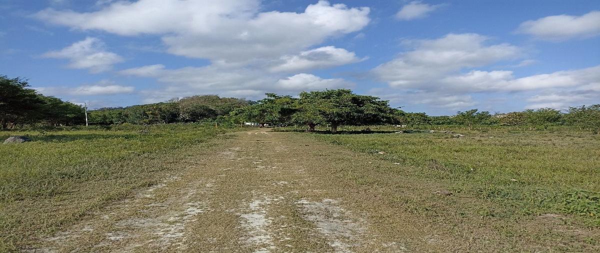 Foto de rancho en venta en champoton , dzacabuchen, champotón, campeche, 27837367 No. 03