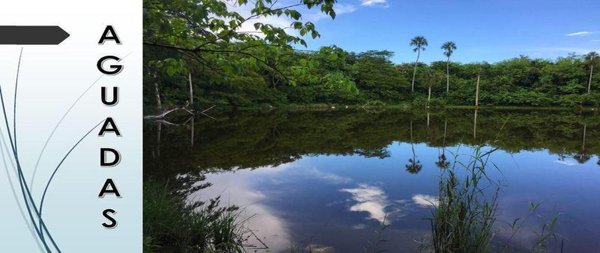 Foto de terreno habitacional en , chan san antonio, tizimín, yucatán, 0 foto 04 Foto de terreno habitacional en venta en , chan san antonio, tizimín, yucatán, 0 No. 04