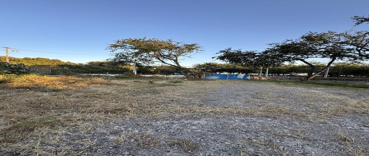 Foto de terreno habitacional en venta en  , chantepec, jocotepec, jalisco, 0 No. 05