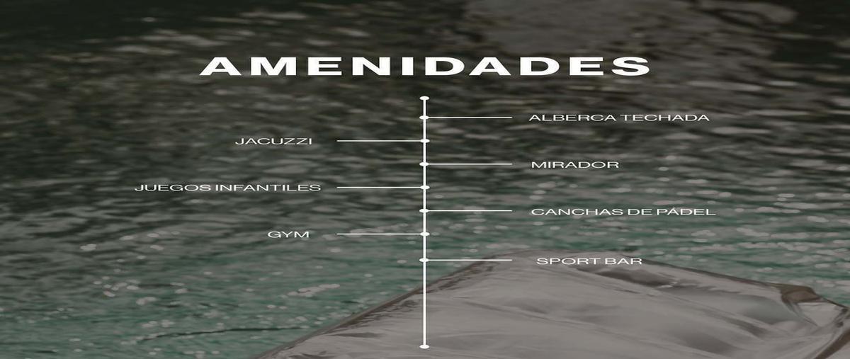 Foto de terreno habitacional en venta en  , chantepec, jocotepec, jalisco, 30212757 No. 04