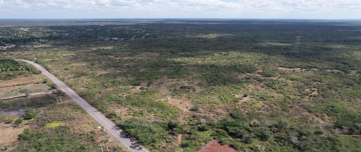 Foto de rancho en , chapab, chapab, yucatán, 0 foto 05 Foto de rancho en venta en , chapab, chapab, yucatán, 0 No. 05
