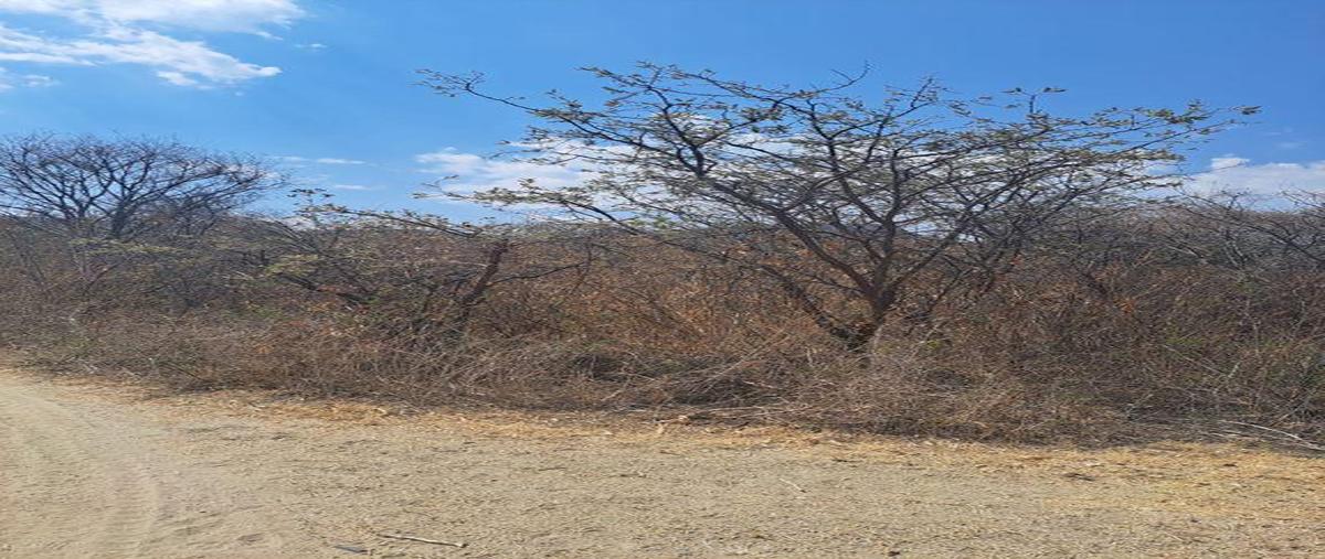 Foto de terreno comercial en venta en  , chapala haciendas, chapala, jalisco, 0 No. 05