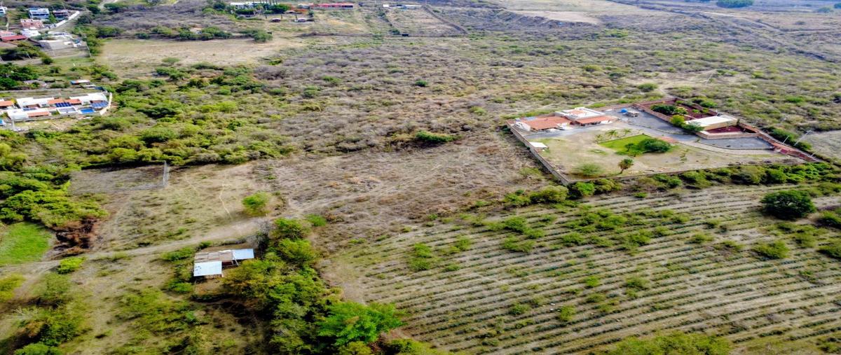 Foto de terreno habitacional en venta en  , chapala haciendas, chapala, jalisco, 0 No. 03