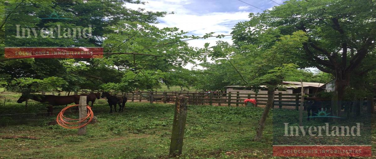 Foto de casa en venta en  , chapancal, ozuluama de mascareñas, veracruz de ignacio de la llave, 0 No. 03