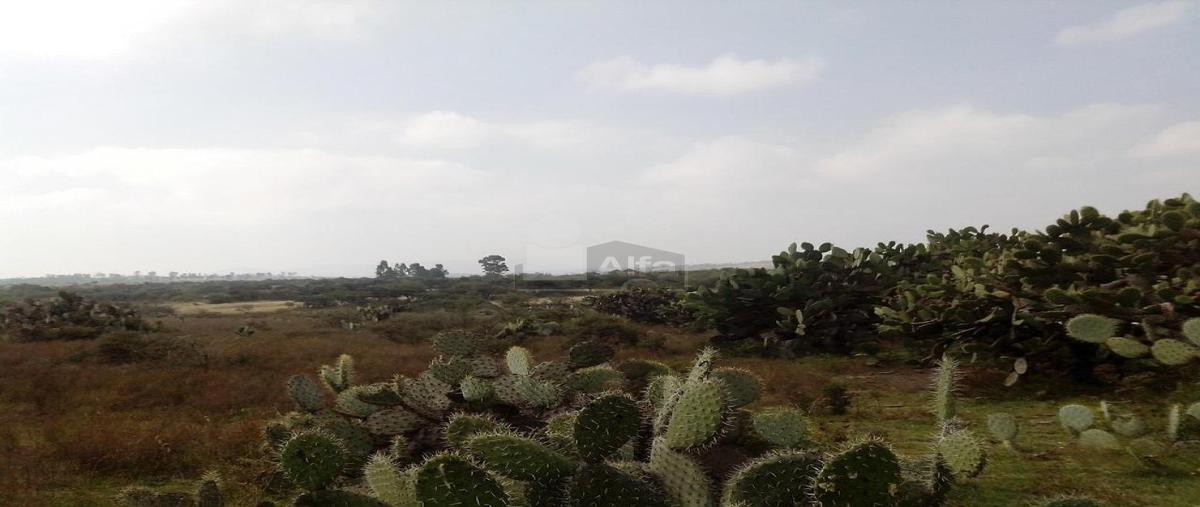 Foto de terreno habitacional en venta en chapantongo 896, el huizachal, chapantongo, hidalgo, 25289945 No. 03