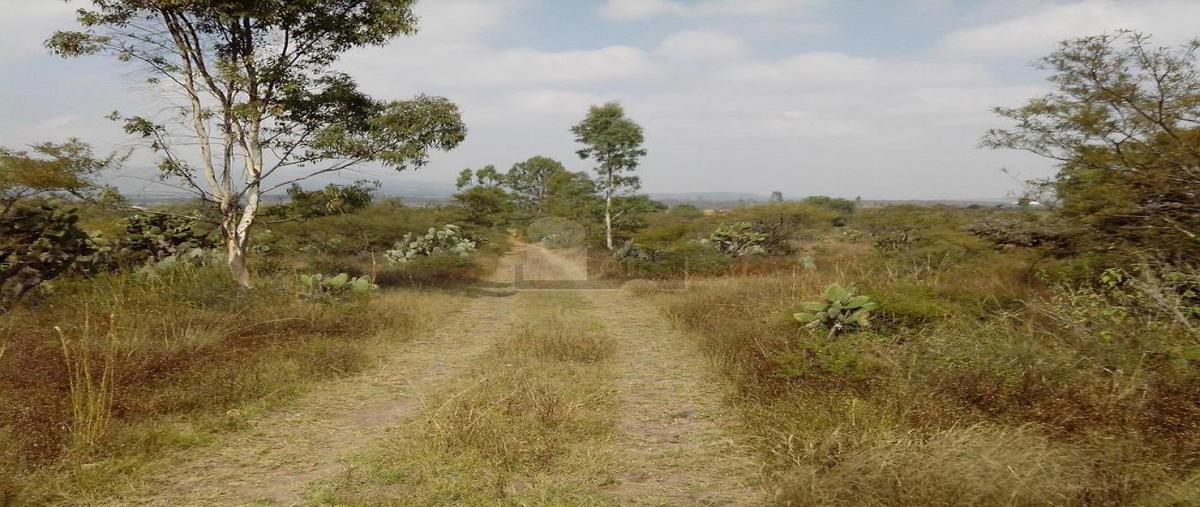 Foto de terreno habitacional en venta en chapantongo 896, el huizachal, chapantongo, hidalgo, 25289945 No. 04