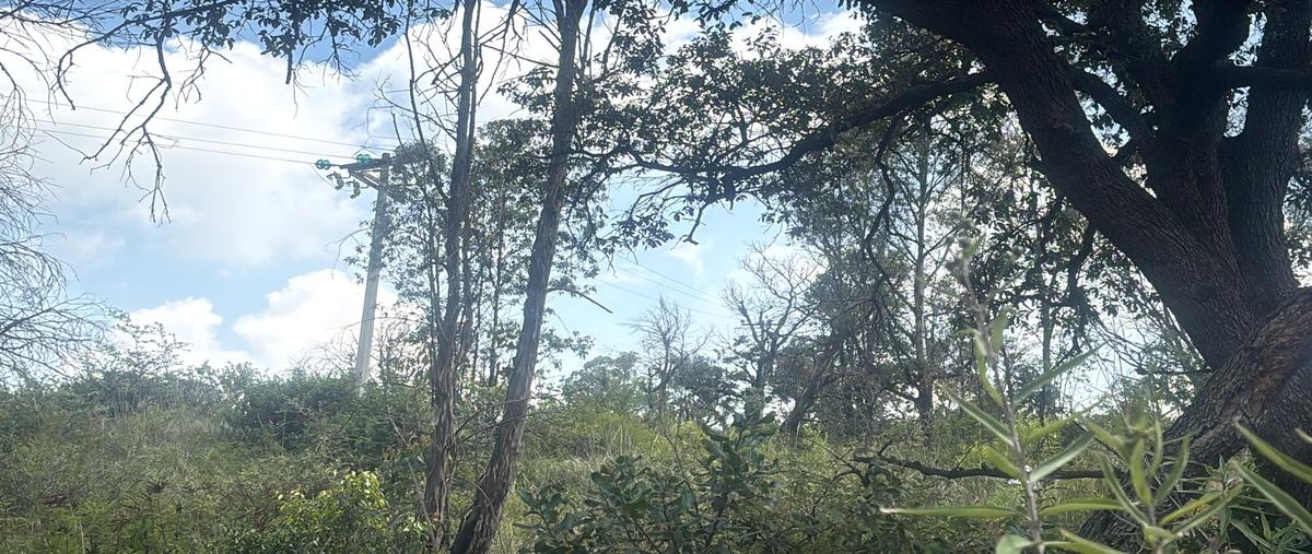 Foto de terreno habitacional en chapultepec , campestre del lago, cuautitlán izcalli, méxico, 25438517 foto 03 Foto de terreno habitacional en venta en chapultepec , campestre del lago, cuautitlán izcalli, méxico, 25438517 No. 03