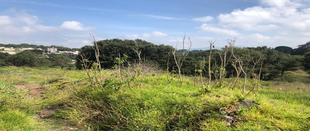 Foto de terreno habitacional en chapultepec , campestre del lago, cuautitlán izcalli, méxico, 25438517 foto 04 Foto de terreno habitacional en venta en chapultepec , campestre del lago, cuautitlán izcalli, méxico, 25438517 No. 04