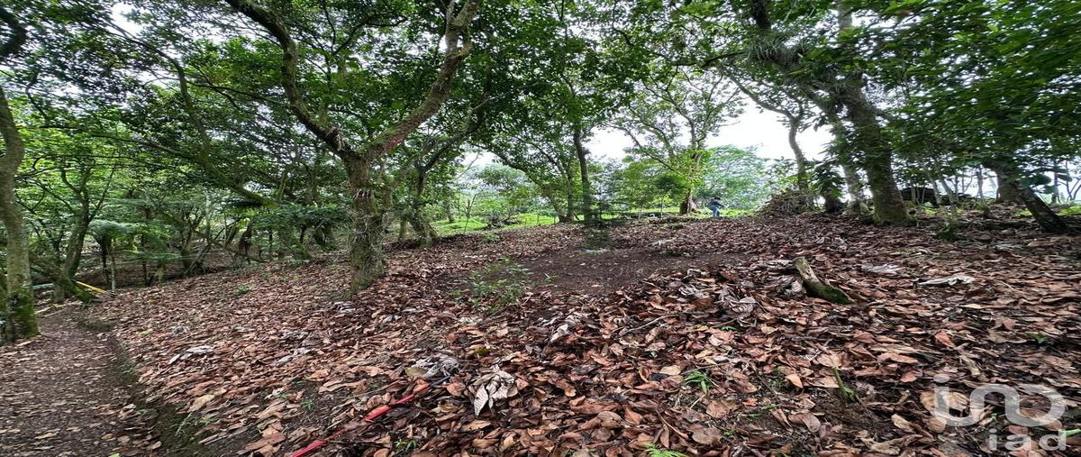 Foto de rancho en venta en chapultepec , ciudad de cuetzalan, cuetzalan del progreso, puebla, 0 No. 05