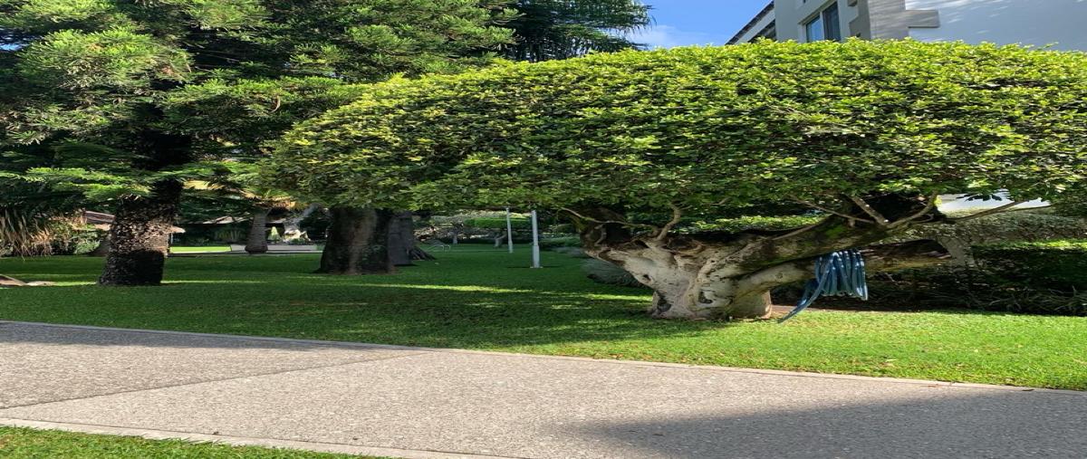 Foto de departamento en venta en  , chapultepec, cuernavaca, morelos, 0 No. 05