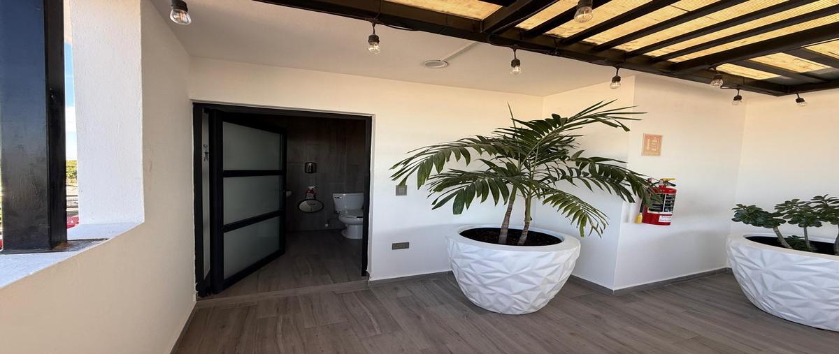 Foto de departamento en renta en  , chapultepec, culiacán, sinaloa, 0 No. 05