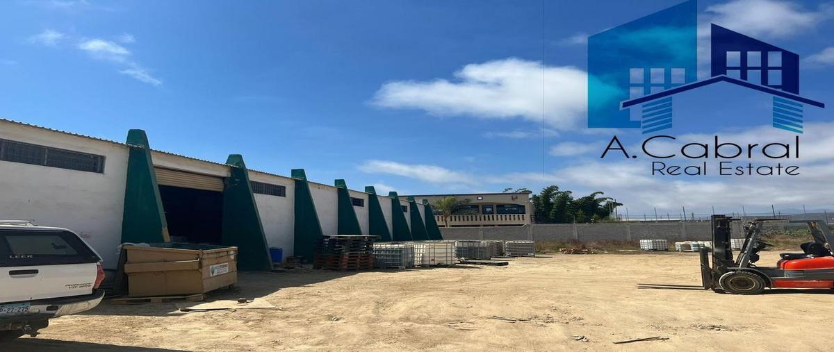 Foto de bodega en renta en  , chapultepec, ensenada, baja california, 25279727 No. 03