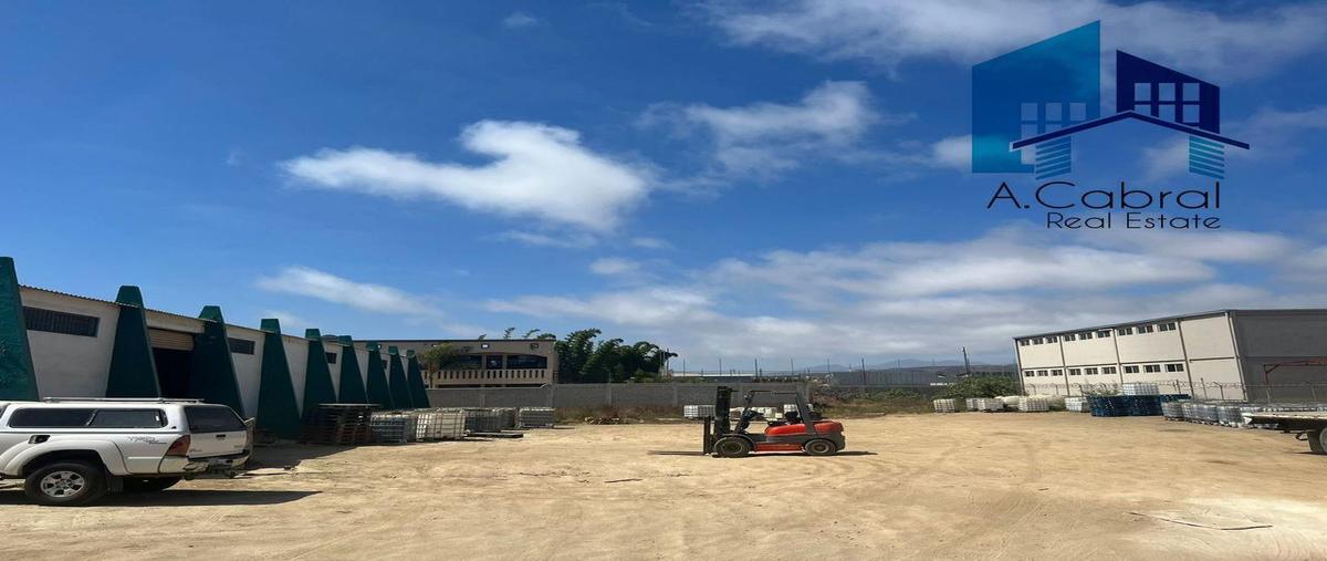 Foto de bodega en renta en  , chapultepec, ensenada, baja california, 25279727 No. 04