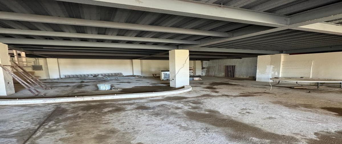 Foto de bodega en renta en  , chapultepec, ensenada, baja california, 0 No. 03