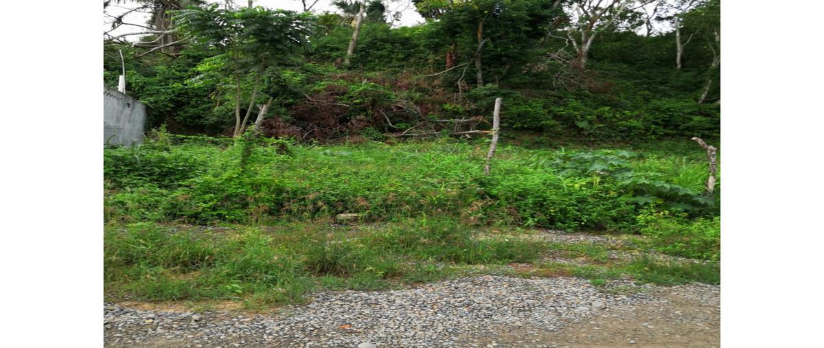 Foto de terreno habitacional en , chapultepec, poza rica de hidalgo, veracruz de ignacio de la llave, 25680185 foto 03 Foto de terreno habitacional en venta en , chapultepec, poza rica de hidalgo, veracruz de ignacio de la llave, 25680185 No. 03