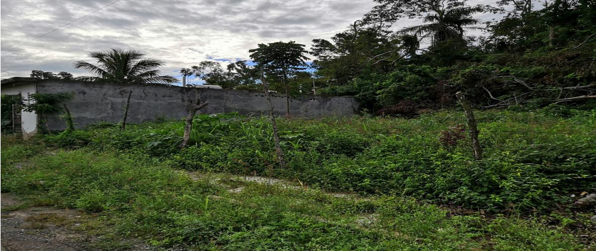Foto de terreno habitacional en , chapultepec, poza rica de hidalgo, veracruz de ignacio de la llave, 25680185 foto 04 Foto de terreno habitacional en venta en , chapultepec, poza rica de hidalgo, veracruz de ignacio de la llave, 25680185 No. 04