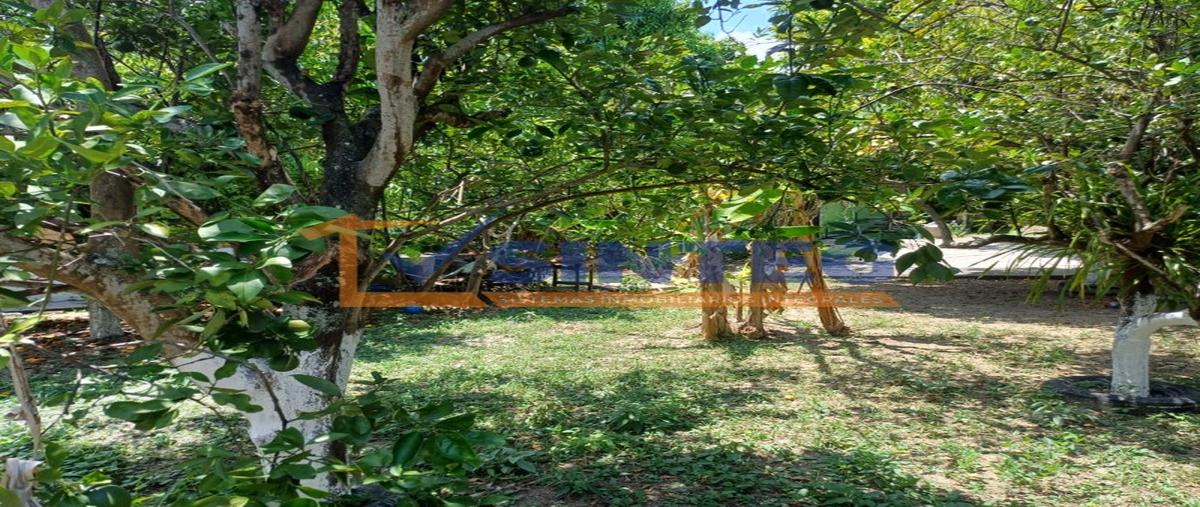 Foto de terreno habitacional en venta en  , chapultepec, poza rica de hidalgo, veracruz de ignacio de la llave, 26760711 No. 05