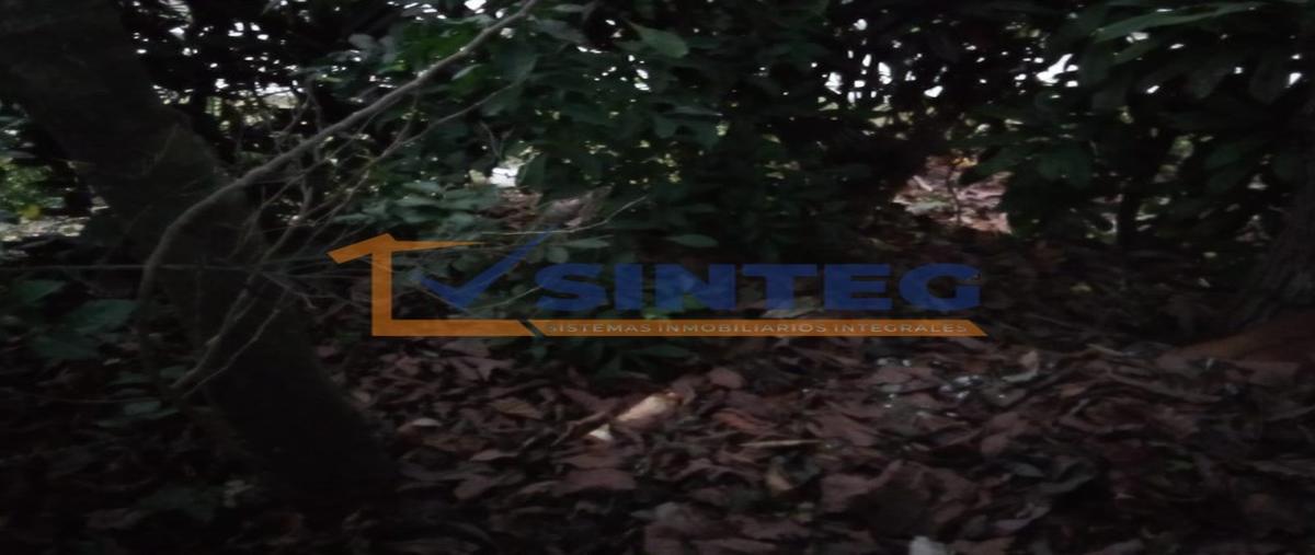 Foto de casa en venta en  , chapultepec, poza rica de hidalgo, veracruz de ignacio de la llave, 0 No. 04