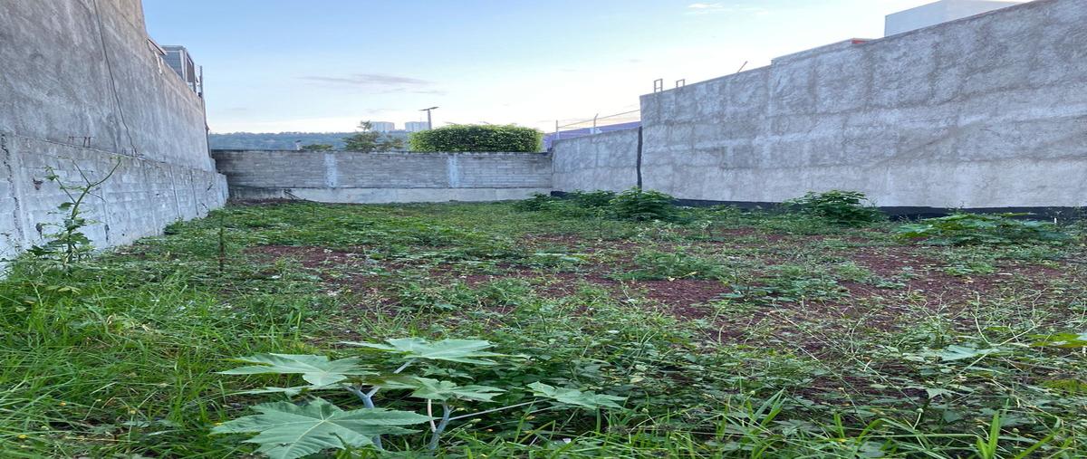 Foto de terreno habitacional en renta en  , chapultepec sur, morelia, michoacán de ocampo, 0 No. 04