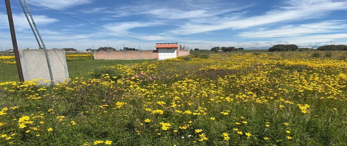 Foto de terreno habitacional en venta en chapultepecméx. , chapultepec i, metepec, méxico, 25593967 No. 05