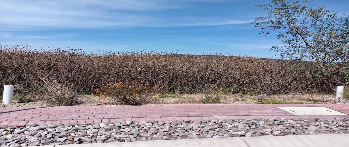 Foto de terreno habitacional en venta en charco blanco, carretera estatal , charco blanco, corregidora, querétaro, 30580229 No. 05