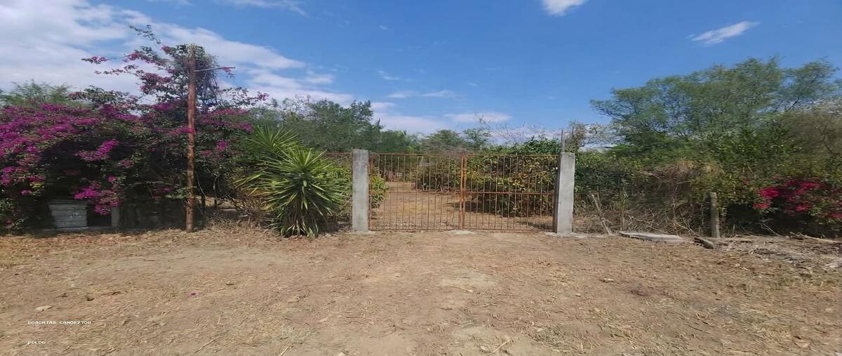 Foto de terreno habitacional en venta en charming campestre , ciudad allende, allende, nuevo león, 31041364 No. 05