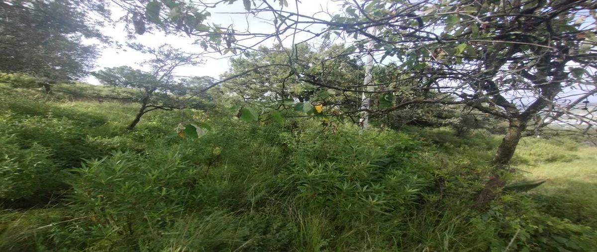 Foto de terreno habitacional en venta en  , chautzingo, tetla de la solidaridad, tlaxcala, 30316465 No. 03