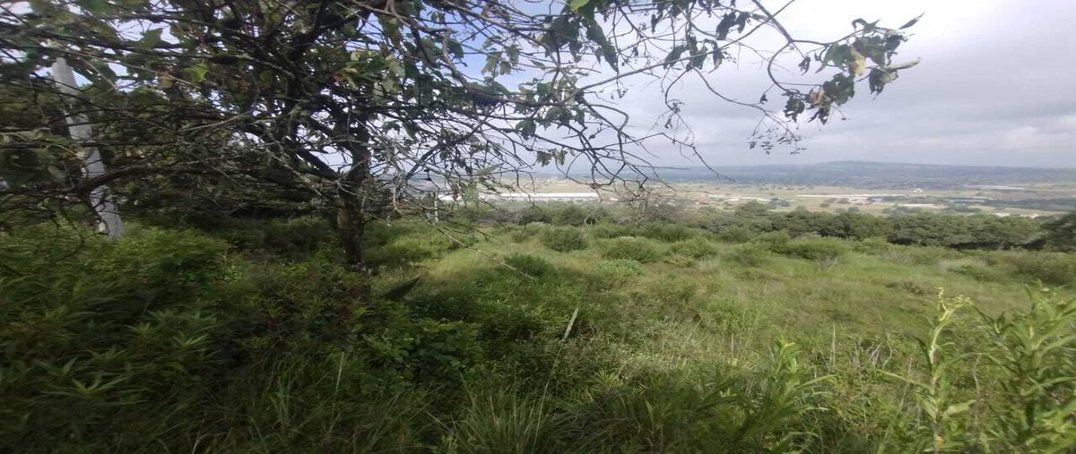 Foto de terreno habitacional en venta en  , chautzingo, tetla de la solidaridad, tlaxcala, 30316465 No. 04