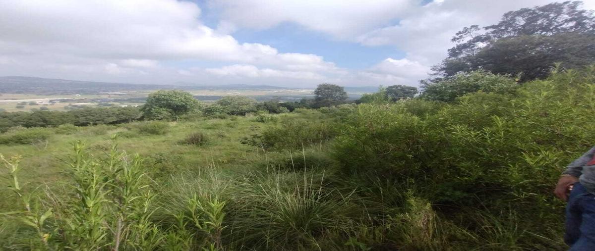 Foto de terreno habitacional en venta en  , chautzingo, tetla de la solidaridad, tlaxcala, 30316465 No. 05