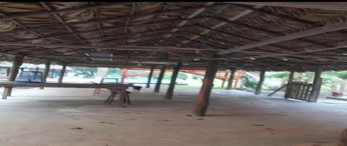 Foto de casa en venta en chekubul , sabancuy centro, carmen, campeche, 0 No. 03