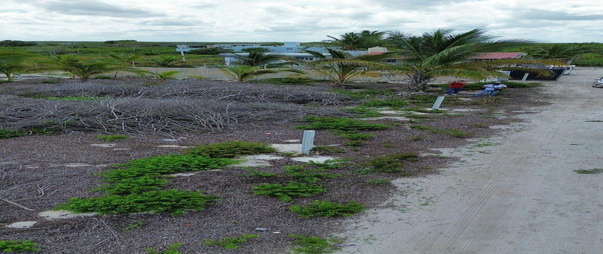 Foto de terreno habitacional en venta en chelem , chelem, progreso, yucatán, 0 No. 03