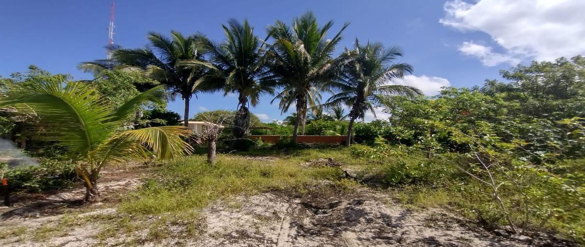 Foto de terreno habitacional en , chelem, progreso, yucatán, 25656878 foto 04 Foto de terreno habitacional en venta en , chelem, progreso, yucatán, 25656878 No. 04