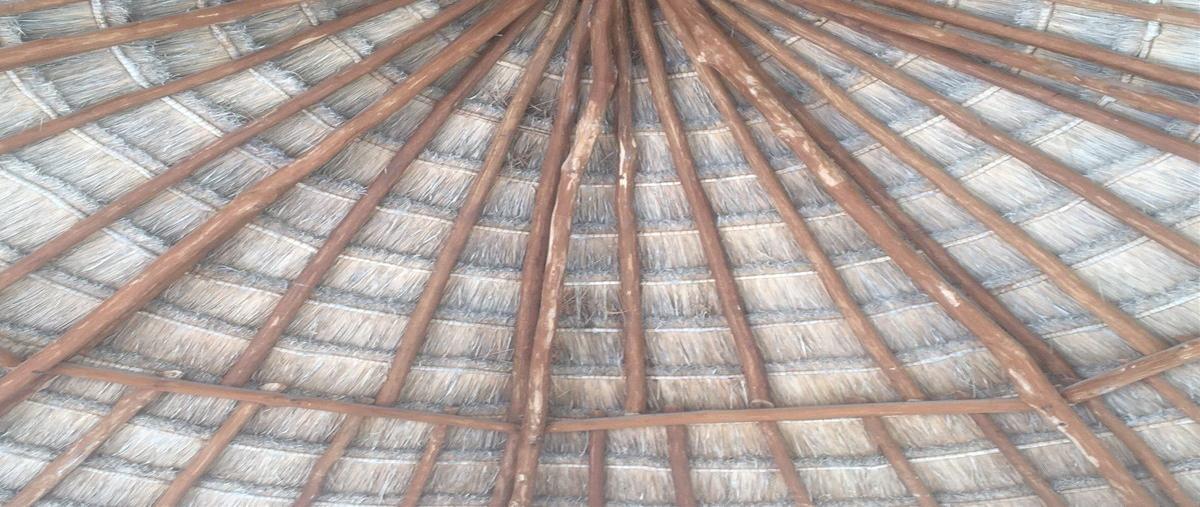 Foto de terreno habitacional en , chelem, progreso, yucatán, 25656878 foto 05 Foto de terreno habitacional en venta en , chelem, progreso, yucatán, 25656878 No. 05