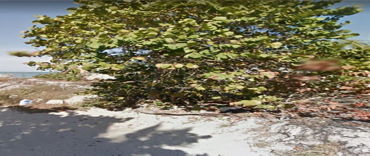 Foto de terreno habitacional en , chelem, progreso, yucatán, 26905596 foto 03 Foto de terreno habitacional en venta en , chelem, progreso, yucatán, 26905596 No. 03