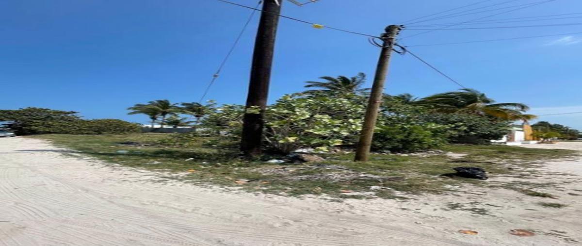 Foto de terreno habitacional en , chelem, progreso, yucatán, 26905596 foto 04 Foto de terreno habitacional en venta en , chelem, progreso, yucatán, 26905596 No. 04