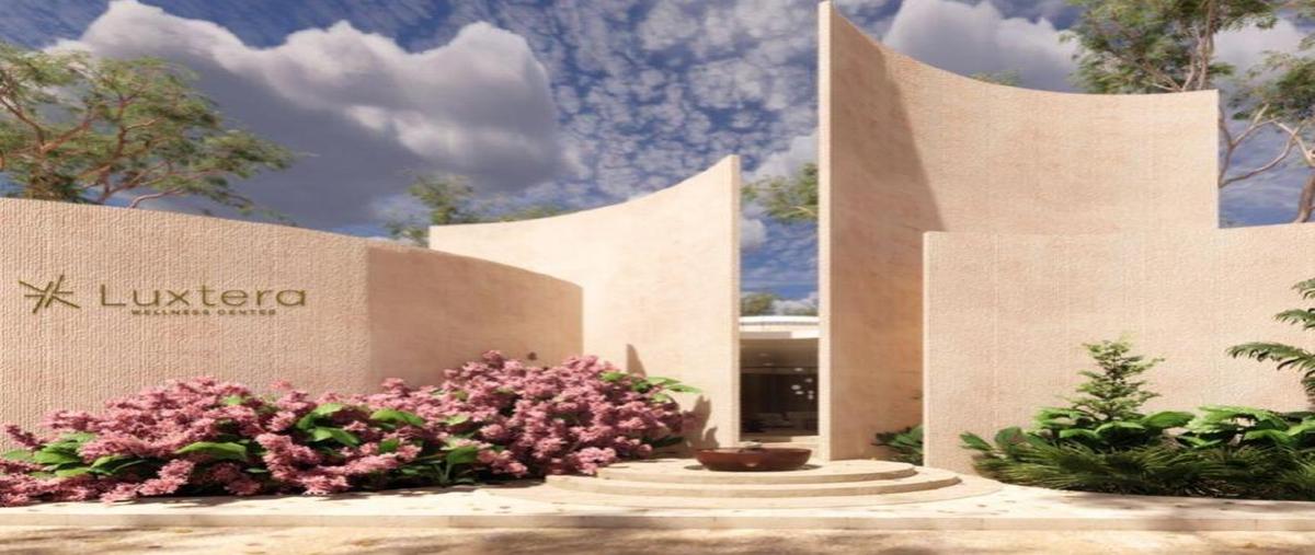 Foto de terreno habitacional en venta en  , chelem, progreso, yucatán, 27584279 No. 04