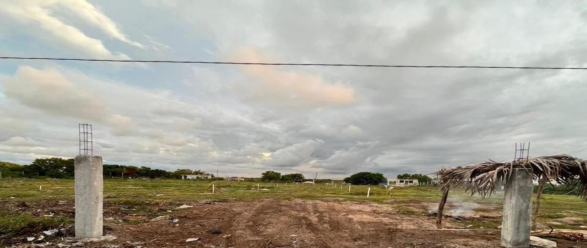 Foto de terreno habitacional en venta en  , chelem, progreso, yucatán, 27607801 No. 03
