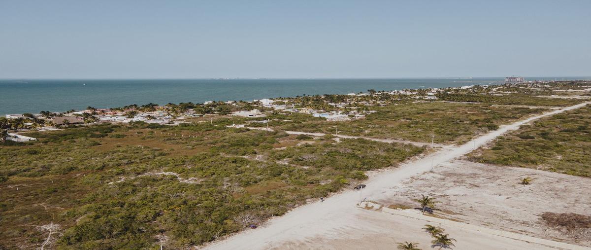 Foto de terreno habitacional en venta en  , chelem, progreso, yucatán, 28278041 No. 04